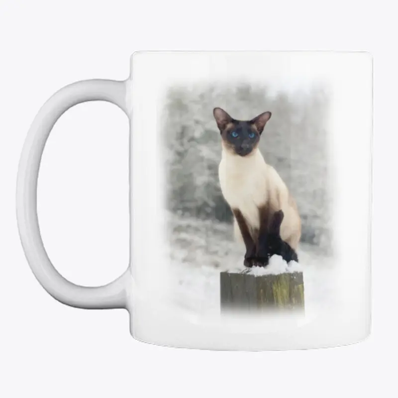 Siamese cat winter watching